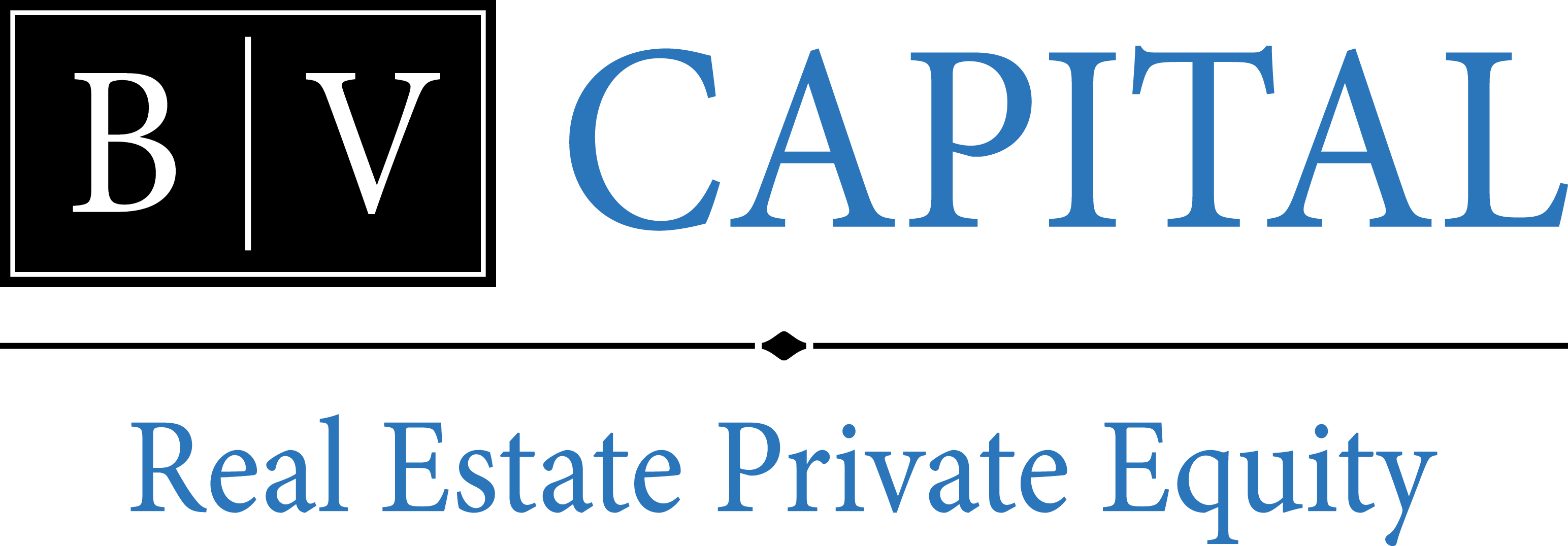 BV Capital Logo